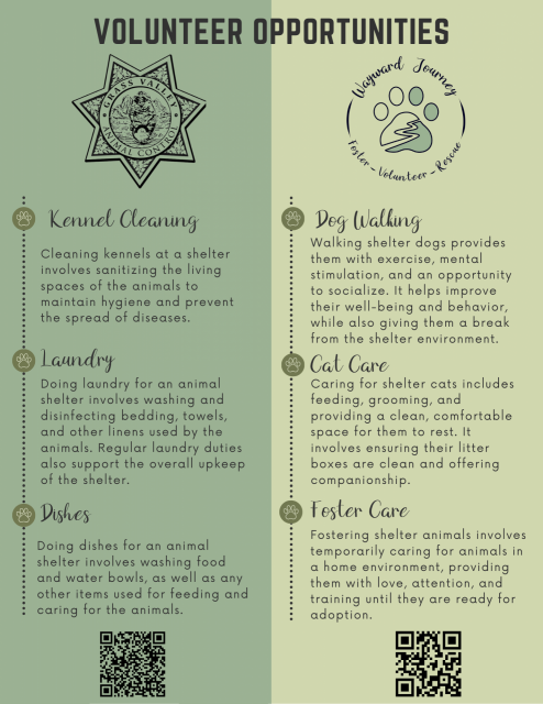 Volunteer Opportunities