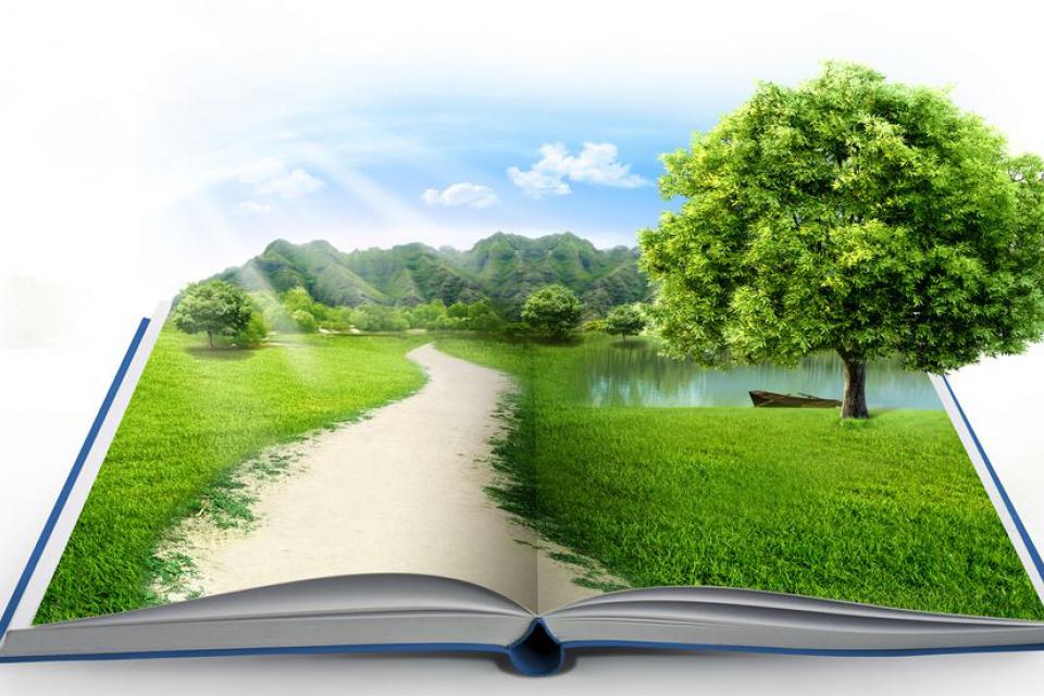 Dorsey Marketplace Supplement to the Final EIR