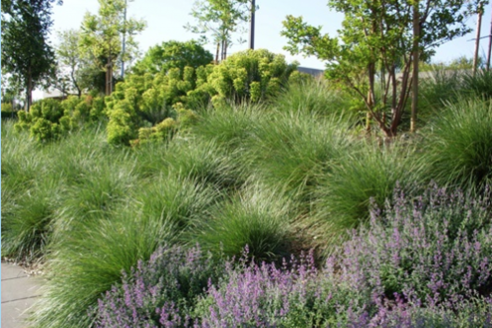 New development and retrofitted landscape water efficiency standards are governed by the Model Water Efficient Landscape Ordinance (MWELO). The MWELO is also referenced by Title 24, Part 11, Chapters 4 and 5 CalGreen Building Code. All local agencies must adopt, implement, and enforce the MWELO or a local Water Efficient Landscape Ordinance (WELO) that is at least as effective as the MWELO. Usually, local agencies that adopt WELOs create a more stringent ordinance than MWELO.